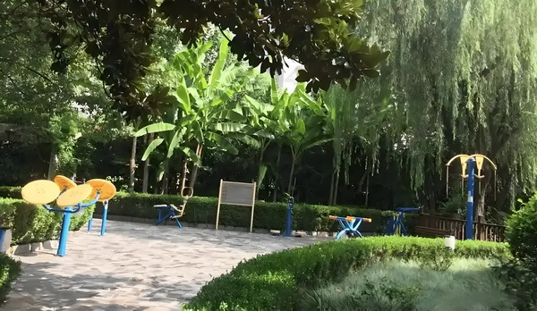 转深户需要什么证件_董璇前夫高云翔给天下男人狠狠上了一课 不畏贩毒卧底艰险集团只身